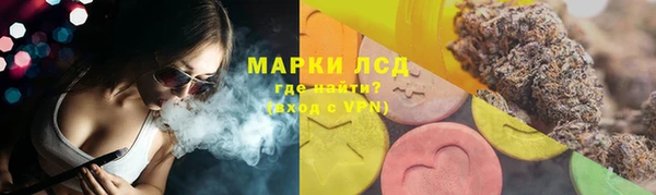 гидра Кулебаки