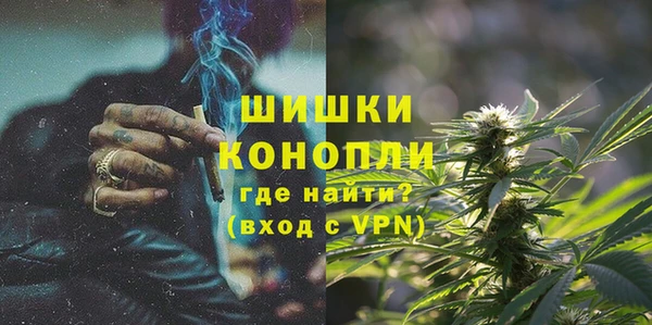 гидра Кулебаки