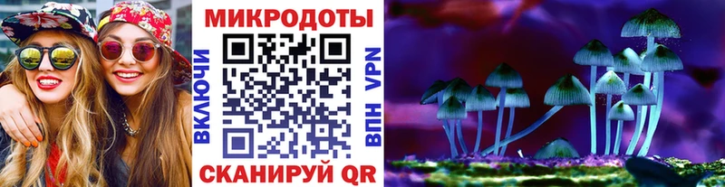 Псилоцибиновые грибы Magic Shrooms  закладка  Жиздра 